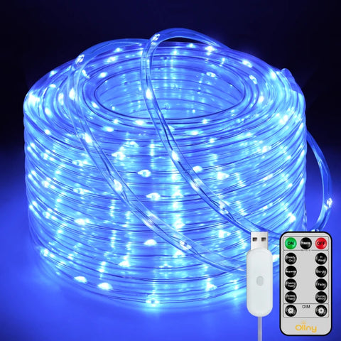 100 LED 33ft Blue Rope Lights (USB, 8 Modes, IP68 Waterproof)