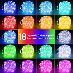 Ollny 100 LED 33ft Color Changing Rope Lights (18 Colors, USB, 8 Modes, IP68 Waterproof)