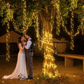 Ollny 1000 LED 49ft Warm White Wedding Cluster Lights (Green Cable, 8 Modes, IP44 Waterproof)