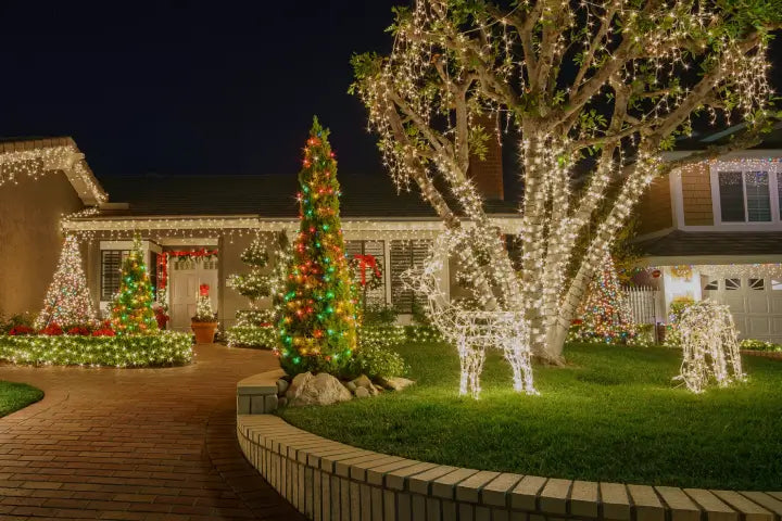 The Best Outdoor Christmas Lights to Brighten Your Landscape